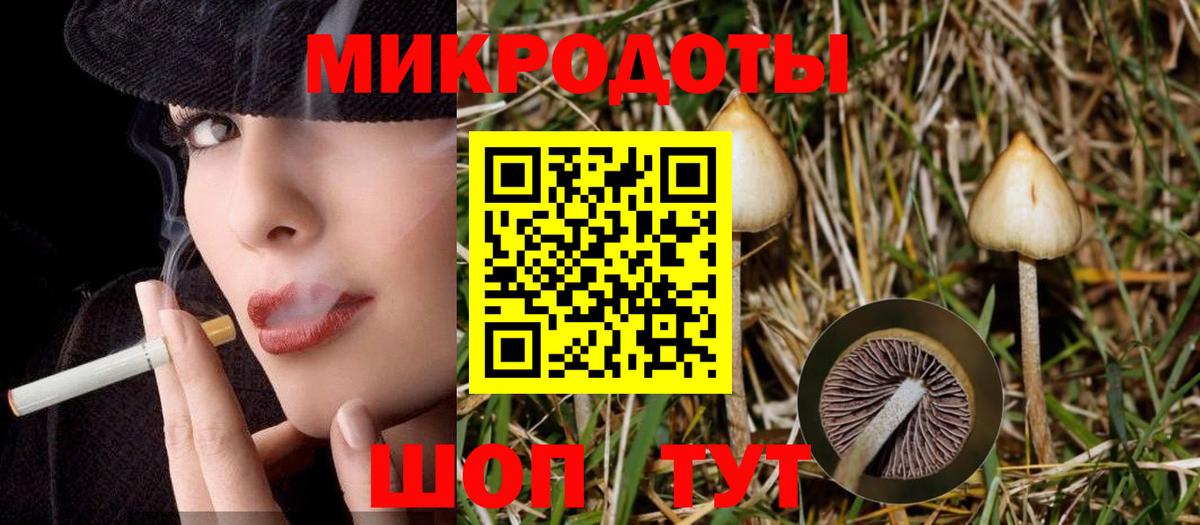 Псилоцибиновые грибы Psilocybine cubensis Советский