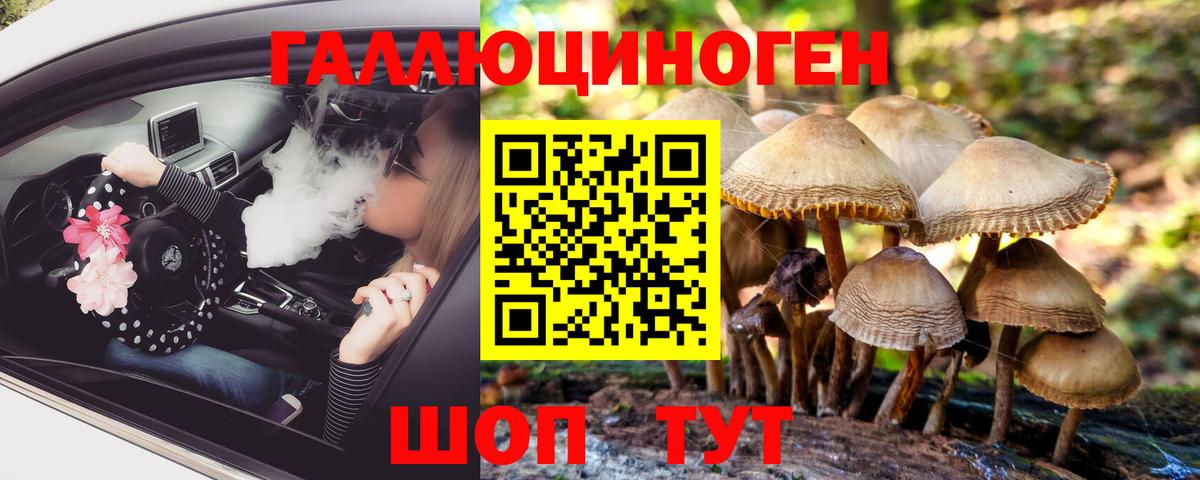 Советский  Галлюциногенные грибы прущие грибы  Вход с VPN  Псилоцибиновые грибы Psilocybe 